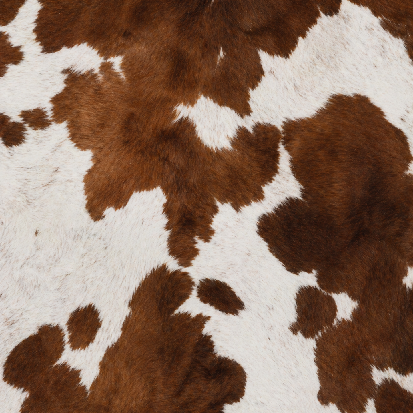 Cowhide Car Costers